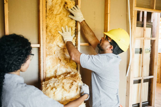 Best Affordable Insulation Services  in Sloan, NY